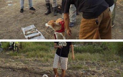 Anjing Kesayangan Iwan Budi ASN Bapenda Korban Mutilasi Turut Dikerahkan, Beberapa Bagian Tubuh Belum Ditemukan